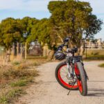 exploring the world of fat bikes