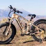 Mokwheel Basalt E-Bike Review, 2024